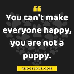 Meet your Posher, Mary beth